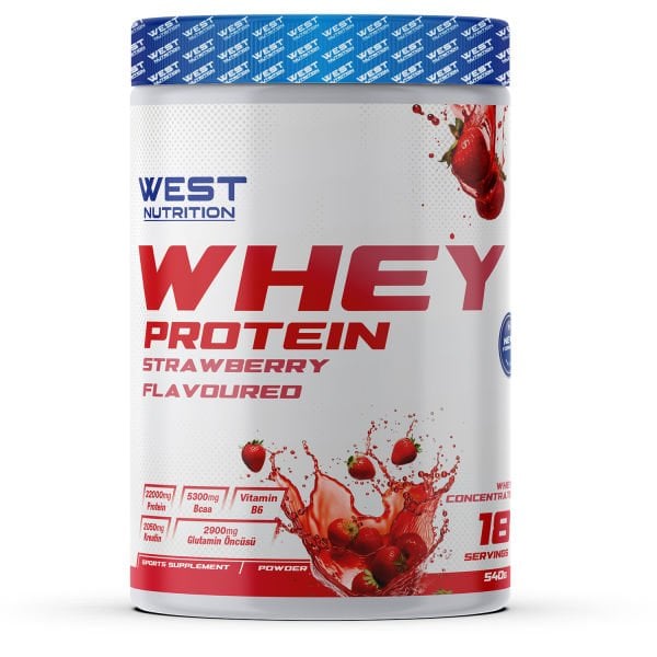 Whey Protein Tozu 540 gr 18 Servis