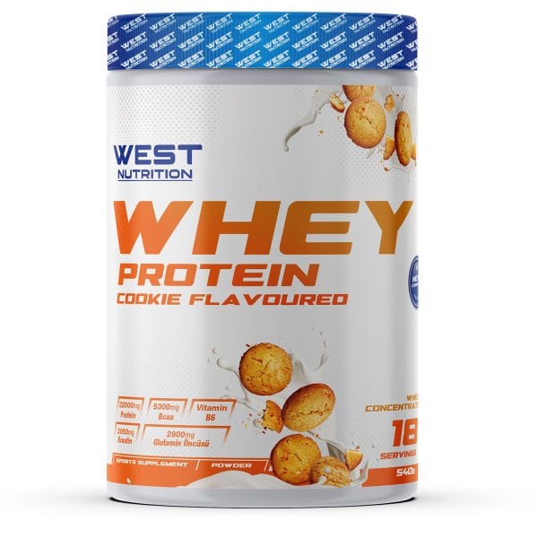Whey Protein Tozu 540 gr 18 Servis