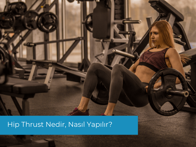 Hip Thrust