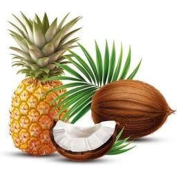 Hindistan Cevizi&Ananas