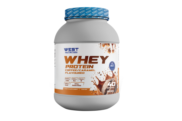 Whey Protein Tozu 1200 gram 40 Servis
