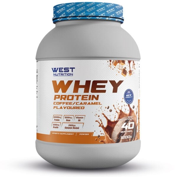 Whey Protein Tozu 1200 gram 40 Servis