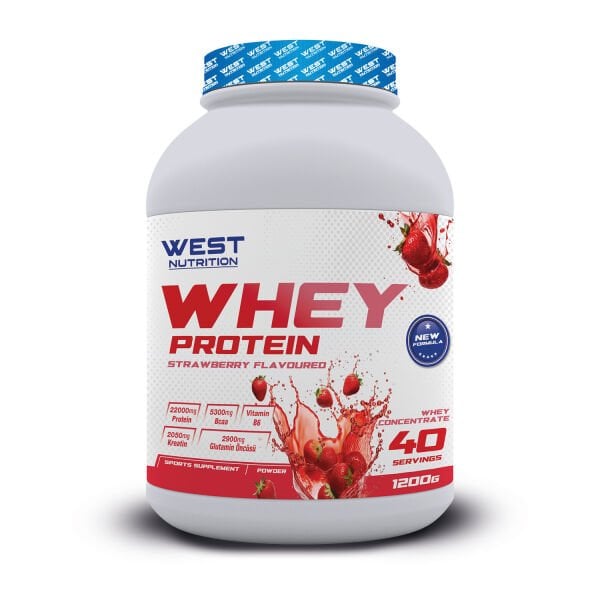 Whey Protein Tozu 1200 gram 40 Servis
