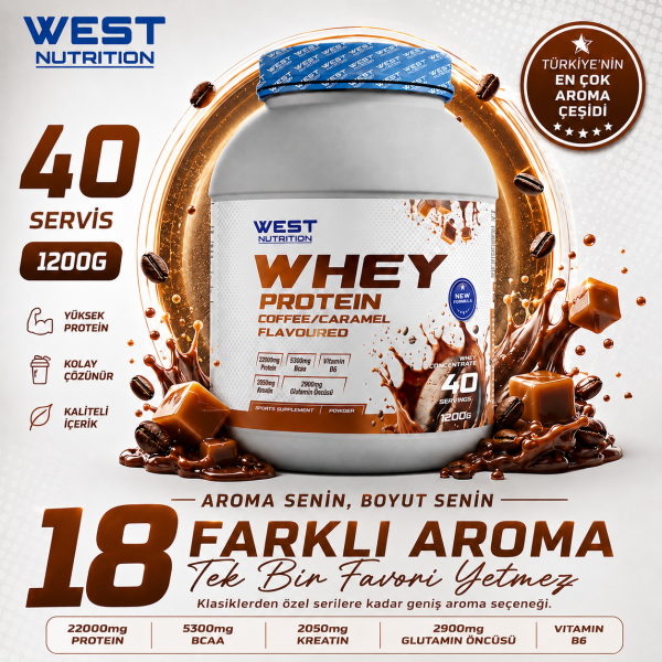 Whey Protein Tozu 1200 gram 40 Servis