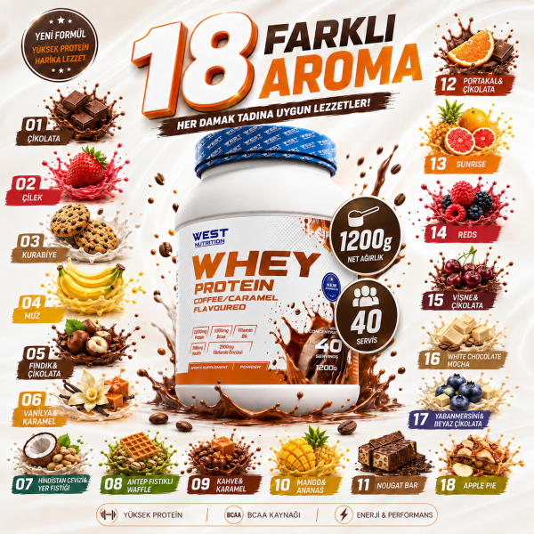 Whey Protein Tozu 1200 gram 40 Servis