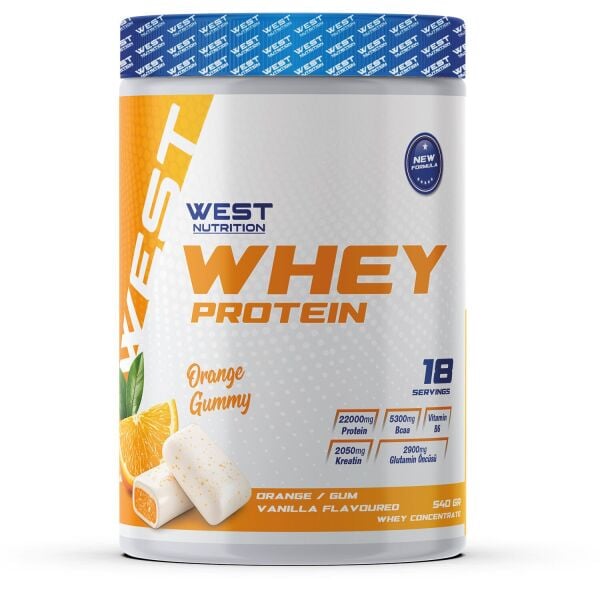 Whey Protein Tozu 540 gr 18 Servis ALL STAR