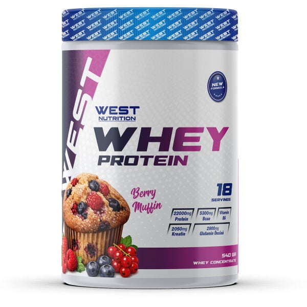 Whey Protein Tozu 540 gr 18 Servis ALL STAR