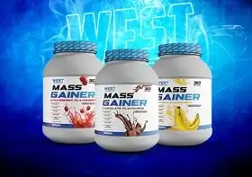 Mass Gainer
