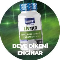 Livtab Milk Thistle